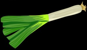 bell-pepper-1297918_1280-01