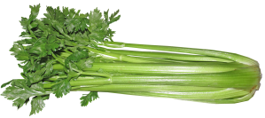 celery-3410302_1920